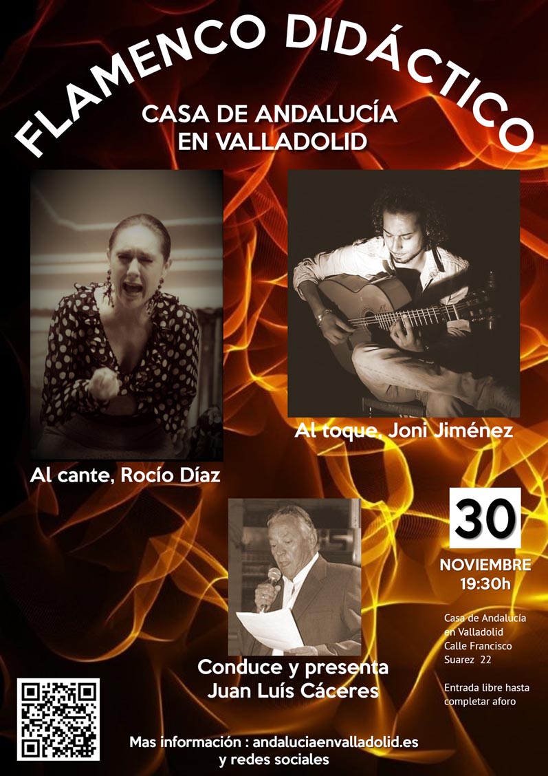Flamenco didctico